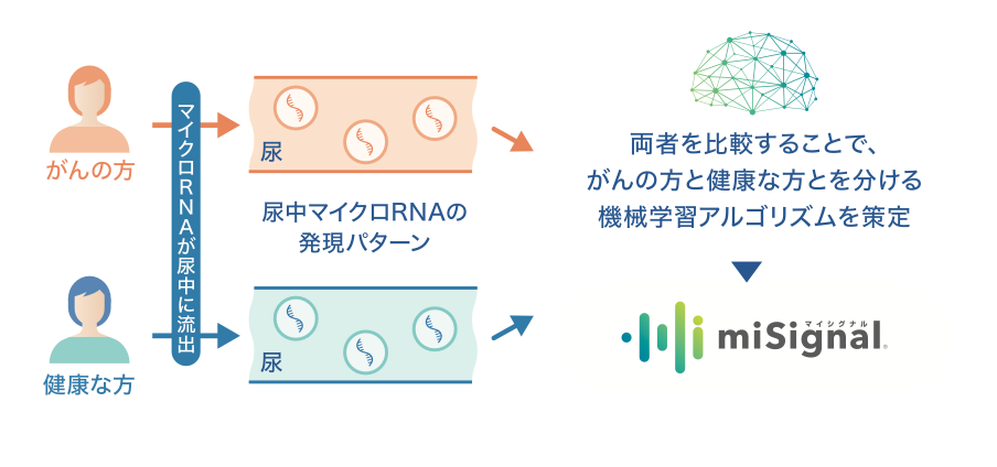 miSignal（マイシグナル）とは